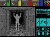 Dungeon Master screenshot